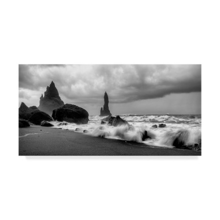 Trademark Fine Art Danny Head 'Black Sands' Canvas Art, 24x47 WAG08949-C2447GG